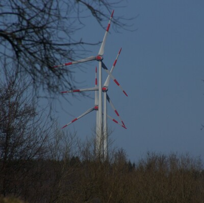 14. Sind den Grünen die Belange des Naturschutzes egal, wenn es um Windkraft geht?